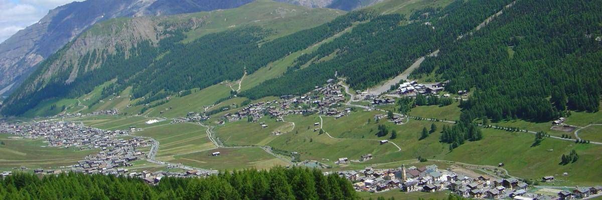 Panorama estivo della valle di Livigno con i prati verdi